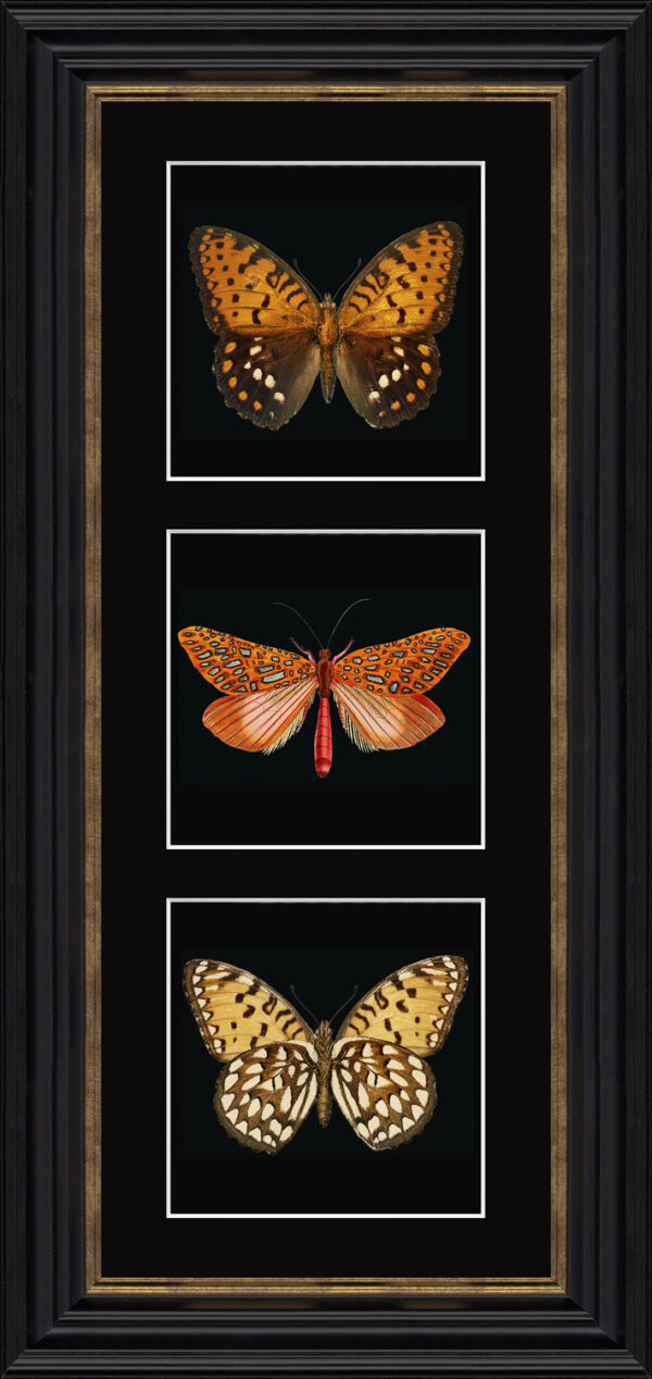 AK12365 Orange Butterflies Triptych - 27 x 57cm