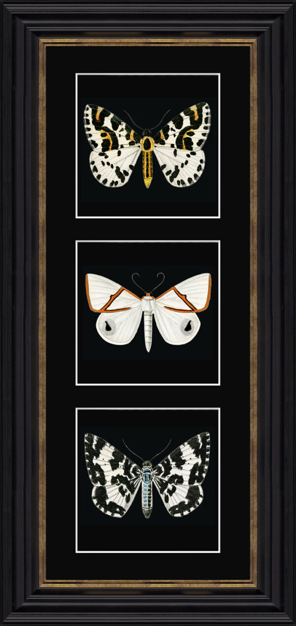 AK12366 White Butterflies Triptych - 27 x 57cm